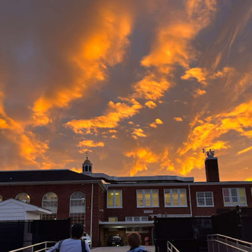 Meet your Posher, Lilly